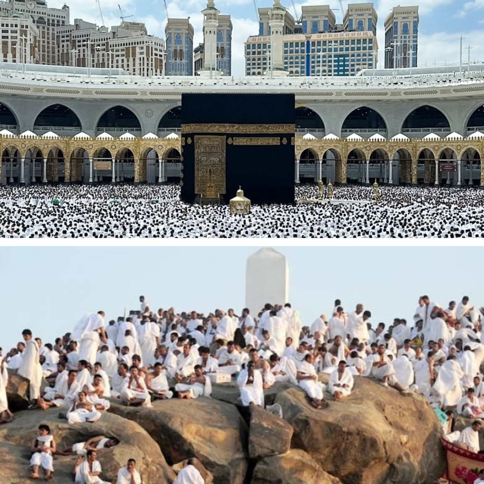 مكة ↔ عرفات